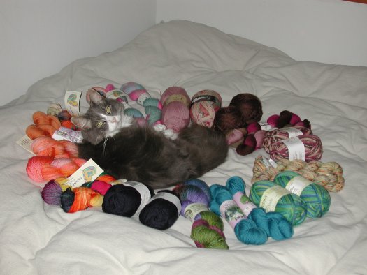 Suma and yarn stash.jpg