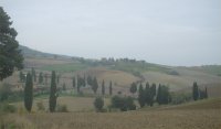 tuscany2.jpg